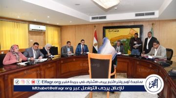 محافظ الفيوم يوجه بتوفير مساعدات مالية عاجلة ومعاشات للحالات الأكثر احتياجًا