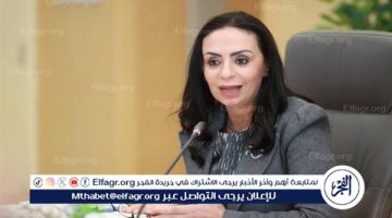 وزيرة التضامن الاجتماعي تُصدر قرارًا بتكليف الدفعة 104 من خريجي الجامعات لأداء الخدمة العامة