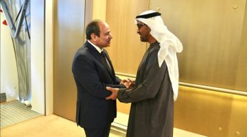 الرئيسان المصري والإماراتي يؤكدان ضرورة إدخال المساعدات الإنسانية بالكميات الكافية لأهالي غزة