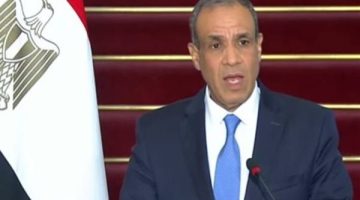 وزير الخارجية يشدد على أهمية نفاذ المساعدات الإنسانية والطبية إلى قطاع غزة