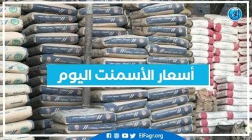 أسعار الأسمنت اليوم الجمعة 17-1-2025 في محافظة البحيرة