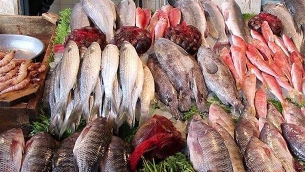 أسعار اللحوم والفراخ والأسماك اليوم الأحد 19 يناير 2025 7 1737272523 446 أسعار اللحوم والفراخ والأسماك اليوم الأحد 19 يناير 2025