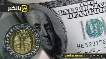 استمرار تراجع سعر الدولار أمام الجنيه في البنك المركزي المصري بنهاية التعاملات