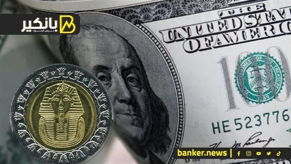 استمرار تراجع سعر الدولار أمام الجنيه في البنك المركزي المصري بنهاية التعاملات 5 استمرار تراجع سعر الدولار أمام الجنيه في البنك المركزي المصري بنهاية التعاملات