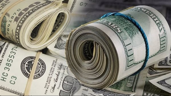 سعر الدولار اليوم الاثنين 20-1-2025 في البنك المركزي المصري