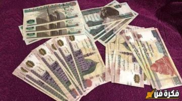 شهادات بنك قناة السويس الجديدة هتخليك مليونير وتفاصيل حساب يومى كاش باعلى عائد