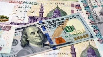الدولار رايح على فين؟ .. هنقولك اللي بيحصل في الكواليس