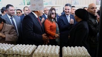 وزيرا التنمية المحلية والتموين ومحافظ القاهرة يفتتحون سوق اليوم الواحد بالزيتون
