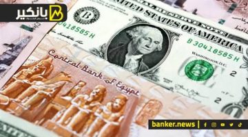 “فيتش” تكشف توقعاتها لسعر الدولار مقابل الجنيه المصري في 2025
