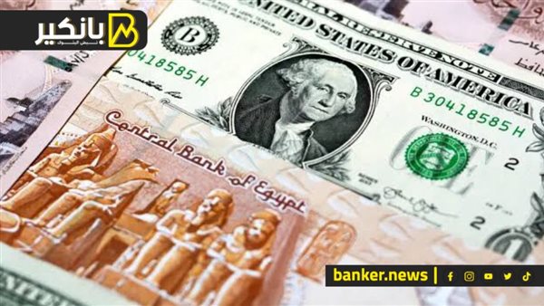 “فيتش” تكشف توقعاتها لسعر الدولار مقابل الجنيه المصري في 2025