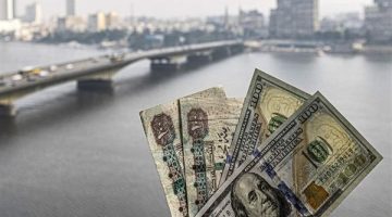 2025 عام استعادة عرش الجنيه المصري.. هنقولك ليه؟