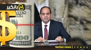 عقد من التحديات والصمود.. كيف ساهمت قرارات السيسي في دعم الاقتصاد الوطني؟