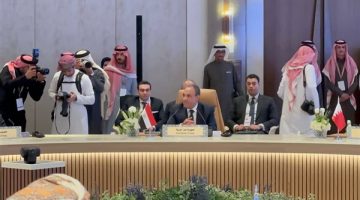 وزير الخارجية يؤكد وقوف مصر مع الشعب السوري ويدعو كل الأطراف لإعلاء المصلحة الوطنية