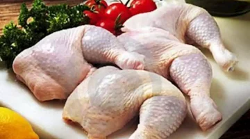 مخاطر الدجاج النيء.. ماذا يحدث لجسمك عند تناوله؟