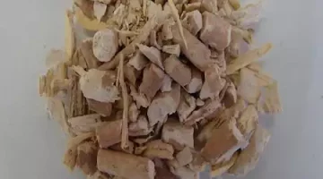 موجود في كل بيت مصري الأشواجندا: العشبة الهندية السحرية لتعزيز الصحة والجسم