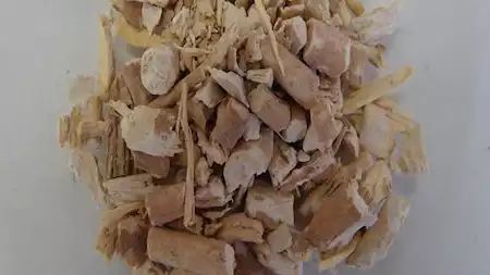 موجود في كل بيت مصري الأشواجندا: العشبة الهندية السحرية لتعزيز الصحة والجسم 5 موجود في كل بيت مصري الأشواجندا: العشبة الهندية السحرية لتعزيز الصحة والجسم