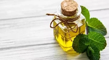 في صقيع الشتاء.. طبيب يكشف فوائد زيت النعناع على المفاصل وركبتيك