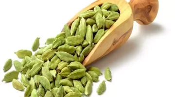 هل الحبهان يزيد هرمون الذكورة؟