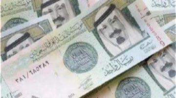 تأثير اجتماع البنك المركزي على الاقتصاد المصري وسعر الريال السعودي