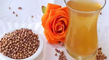 شرب بذور الكزبرة المنقوعة صباحًا.. فوائد صحية مذهلة