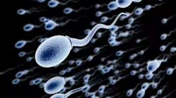 أسباب انعدام الحيوانات المنوية عند الرجال- هل هناك علاج؟