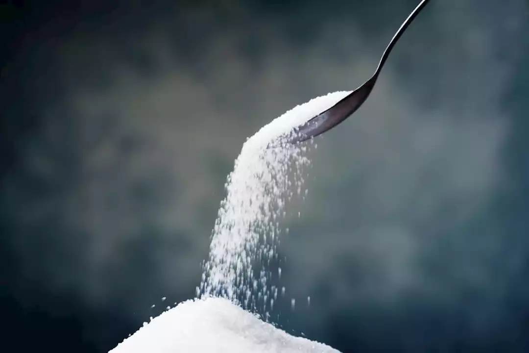 طبيب: صحة هذا العضو مرهونة بتجنب السكر 5 طبيب: صحة هذا العضو مرهونة بتجنب السكر