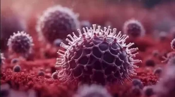 hmpv هل يدمر الكلي؟ إليك ما قال العلماء