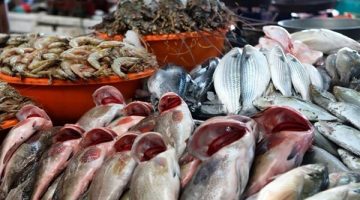 أسعار الأسماك في سوق العبور اليوم الثلاثاء