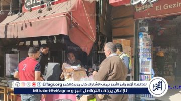 محافظ الإسكندرية يوجه شركة نهضة مصر لرفع كفاءة منظومة النظافة بالمنتزه