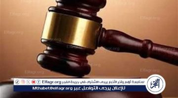 محكمة جنايات الفيوم تؤجل محاكمة ربة منزل قتلت جارتها في الفيوم