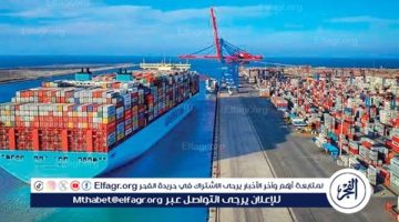 انتظام حركة الملاحة وتداول البضائع بالهيئة العامة لميناء الاسكندريه خلال 24 ساعة