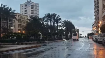 حالة الطقس في مصر: انخفاض ملحوظ في درجات الحرارة وأمطار غزيرة حتى نهاية الأسبوع