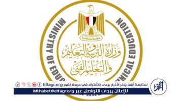 أولياء أمور مصر يشيدون بنظام البكالوريا المصرية: سيساهم في تخفيف الضغوط على الطلاب والأسر
