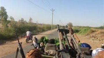 بعد تحريرها.. ماذا تعرف عن مدينة أم روابة السودانية؟
