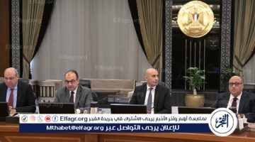 شهادة البكالوريا المصرية: بوابة التعليم الجديدة قيد النقاش الحكومي