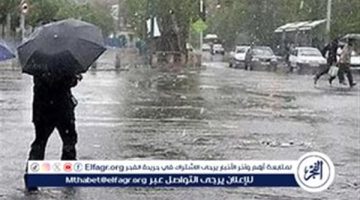 تحذيرات من الأرصاد: شبورة كثيفة صباحًا وارتفاع درجات الحرارة نهارًا