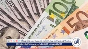 أسعار العملات اليوم الأربعاء 8 يناير 2025 مقابل الجنيه المصري بالبنوك