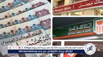 أفضل شهادات الادخار في البنوك المصرية لعام 2025: تفاصيل العوائد والخيارات المتاحة