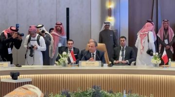 مصر تشارك في الاجتماع الوزاري العربي حول سوريا في الرياض