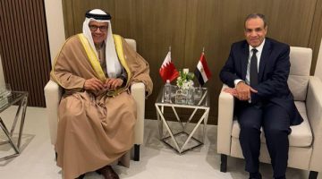 وزير خارجية مصر والبحرين يؤكدان أهمية التكاتف الإقليمي والدولي لاستعادة الاستقرار بسوريا