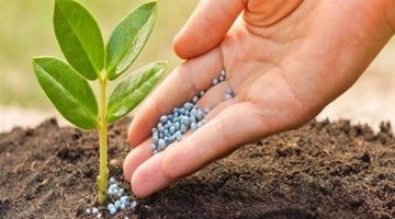 عرض إماراتي للاستحواذ على 90% من شركة سماد مصر