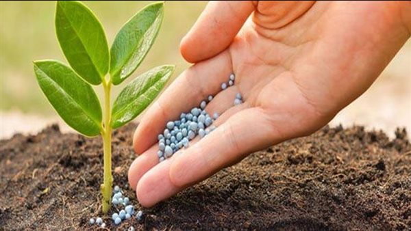 عرض إماراتي للاستحواذ على 90% من شركة سماد مصر 5 عرض إماراتي للاستحواذ على 90% من شركة سماد مصر