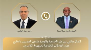 هاتفيا.. وزير الخارجية والهجرة يبحث مع نظيره الكاميروني تعزيز التعاون بين البلدين