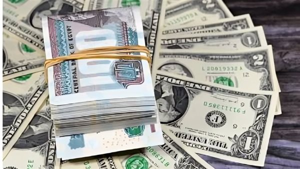 سعر الدولار الآن مقابل الجنيه المصري.. ومتابعة لحظية لأحدث الأسعار بالبنوك 5 سعر الدولار الآن مقابل الجنيه المصري.. ومتابعة لحظية لأحدث الأسعار بالبنوك