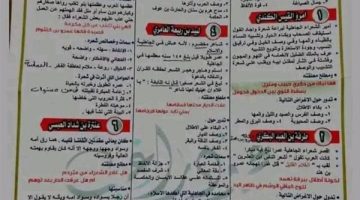 مراجعات نهائية.. ملخص الآدب في ورقتين لـ الصف الثاني الثانوي
