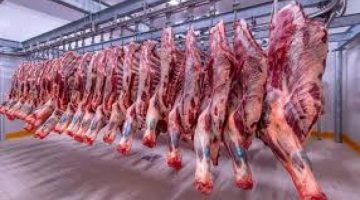 أسعار اللحوم فى الاسواق اليوم الخميس | الاقتصاد