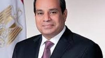 الرئيس السيسى يتلقى اتصالاً هاتفياً من المستشار النمساوي ”ألكسندر شالينبرج” | الأخبار