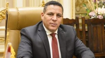 احمد محسن: نجاح الدبلوماسية المصرية في التوصل لاتفاق هدنة غزة خطوة هامة نحو تهدئة الأوضاع بالمنطقة