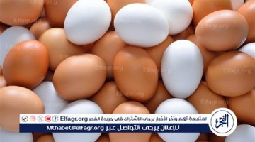 اسعار البيض اليوم الاثنين 13-1-2025 في الدقهلية