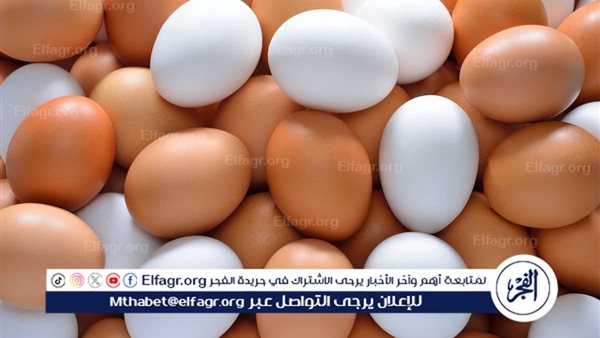 اسعار البيض اليوم الاثنين 13-1-2025 في الدقهلية 5 اسعار البيض اليوم الاثنين 13-1-2025 في الدقهلية